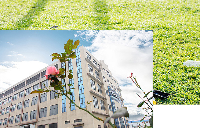 無(wú)錫雪浪儀表廠