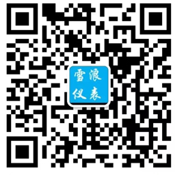 無(wú)錫雪浪儀表廠