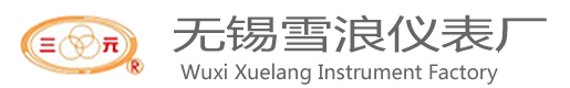 無(wú)錫雪浪儀表廠
