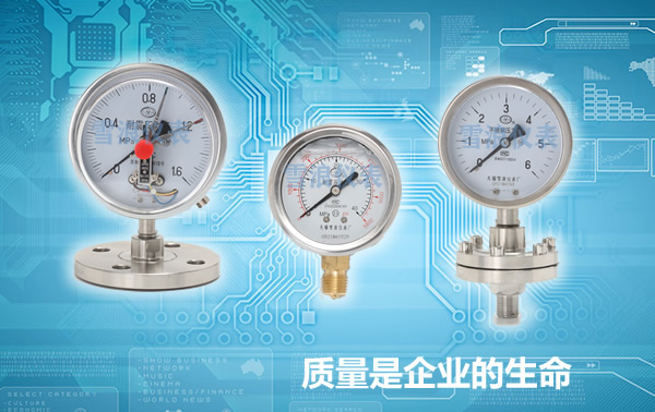 雪浪儀表生產(chǎn)全系列壓力表